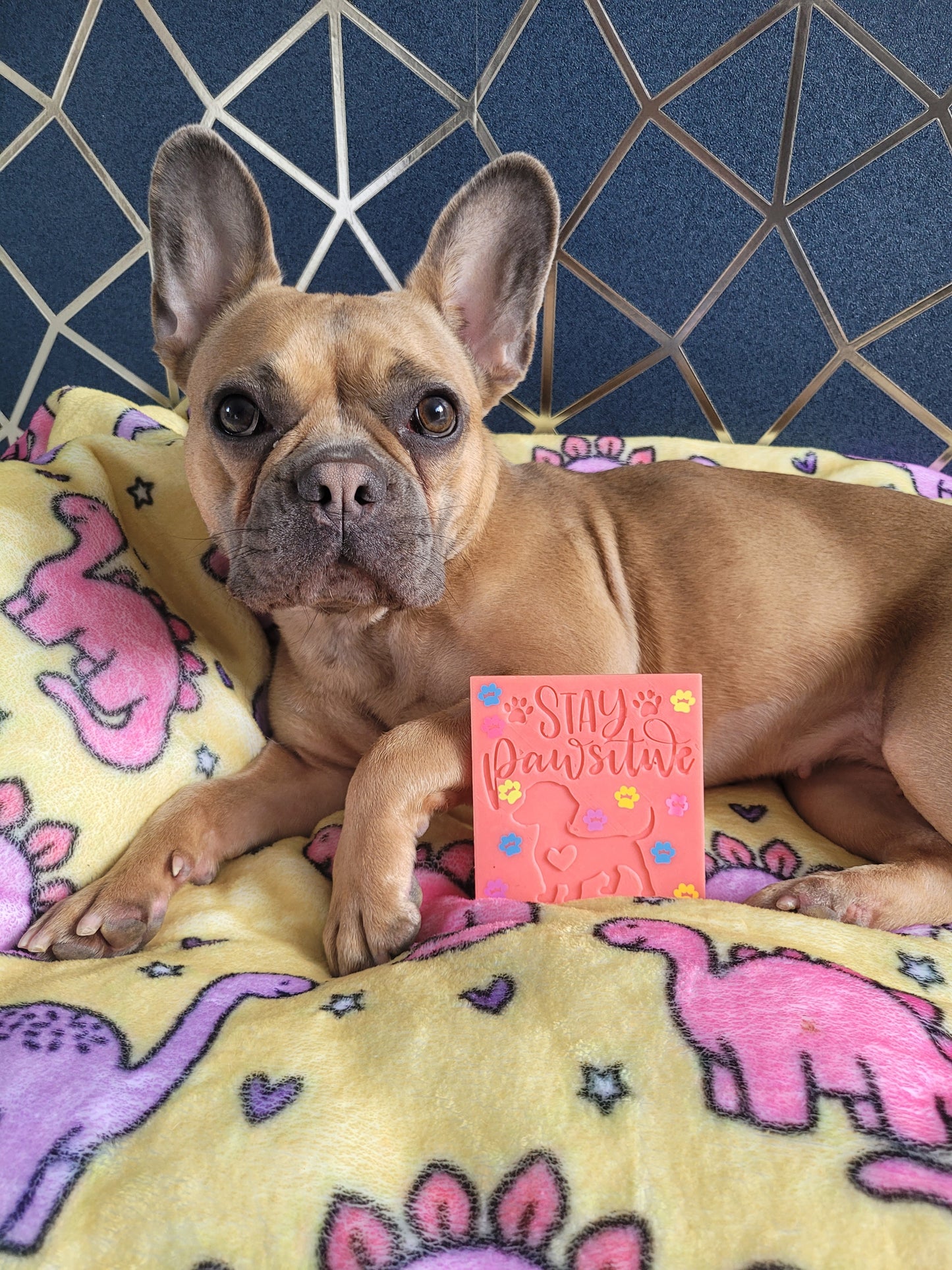Stay Pawsitive Wax Square 🐾