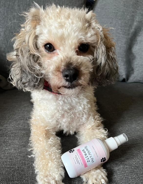 Sparkles Pet Spritz