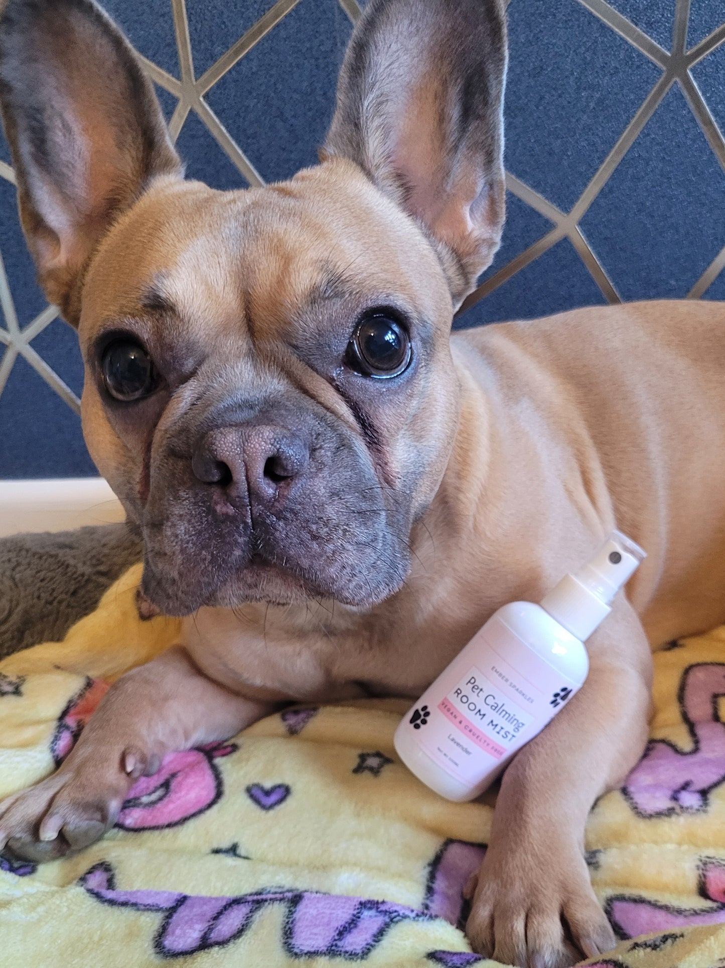 Pet Calming Room Mist