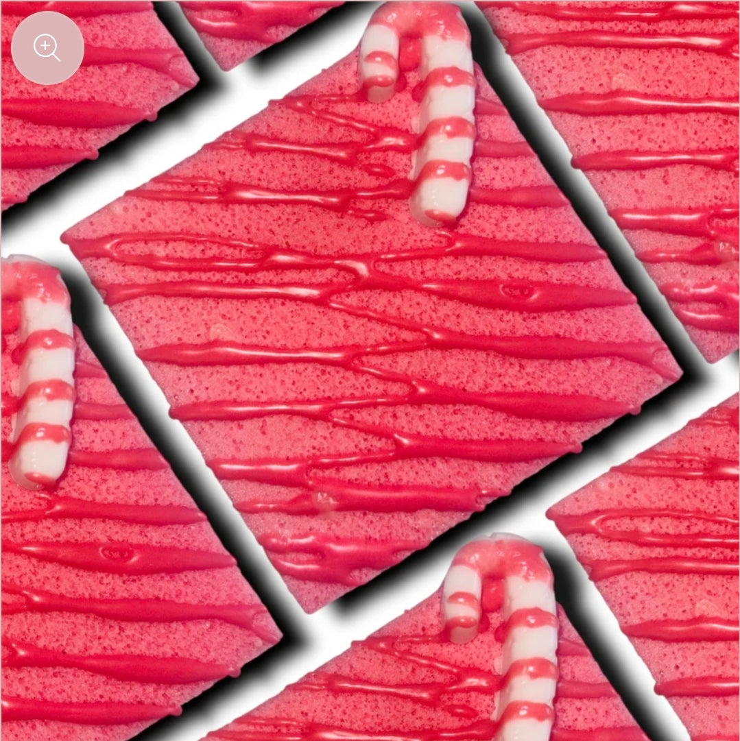 Christmas Soap Sponges