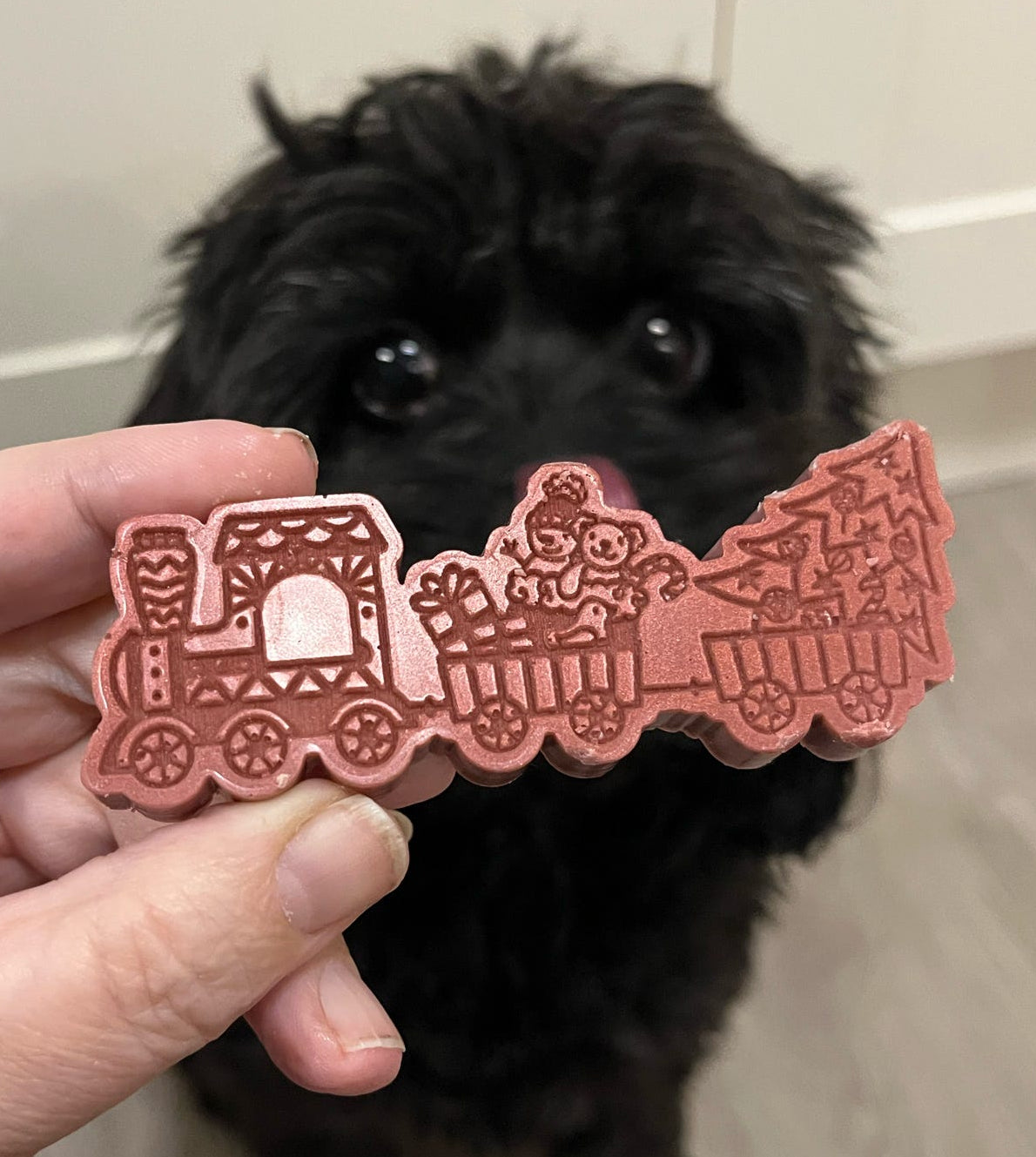 Christmas Train Wax Melt