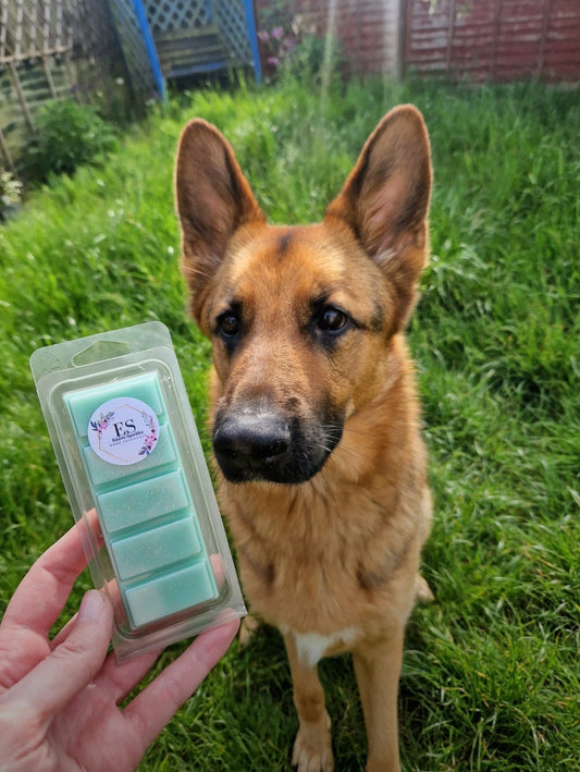 Odour Eliminator Snapbars